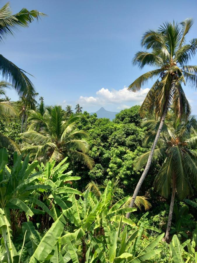 Le Chissioua Otel Sada Oda fotoğraf