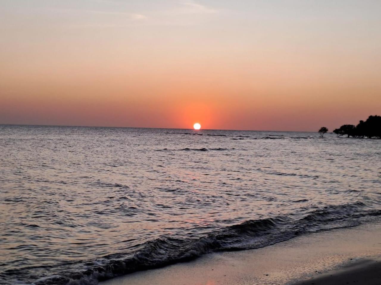Le Chissioua Otel Sada Dış mekan fotoğraf